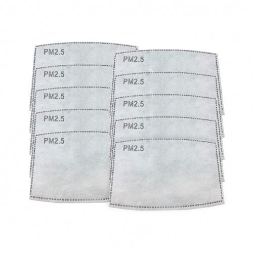 DF10 10 pack disposable filters